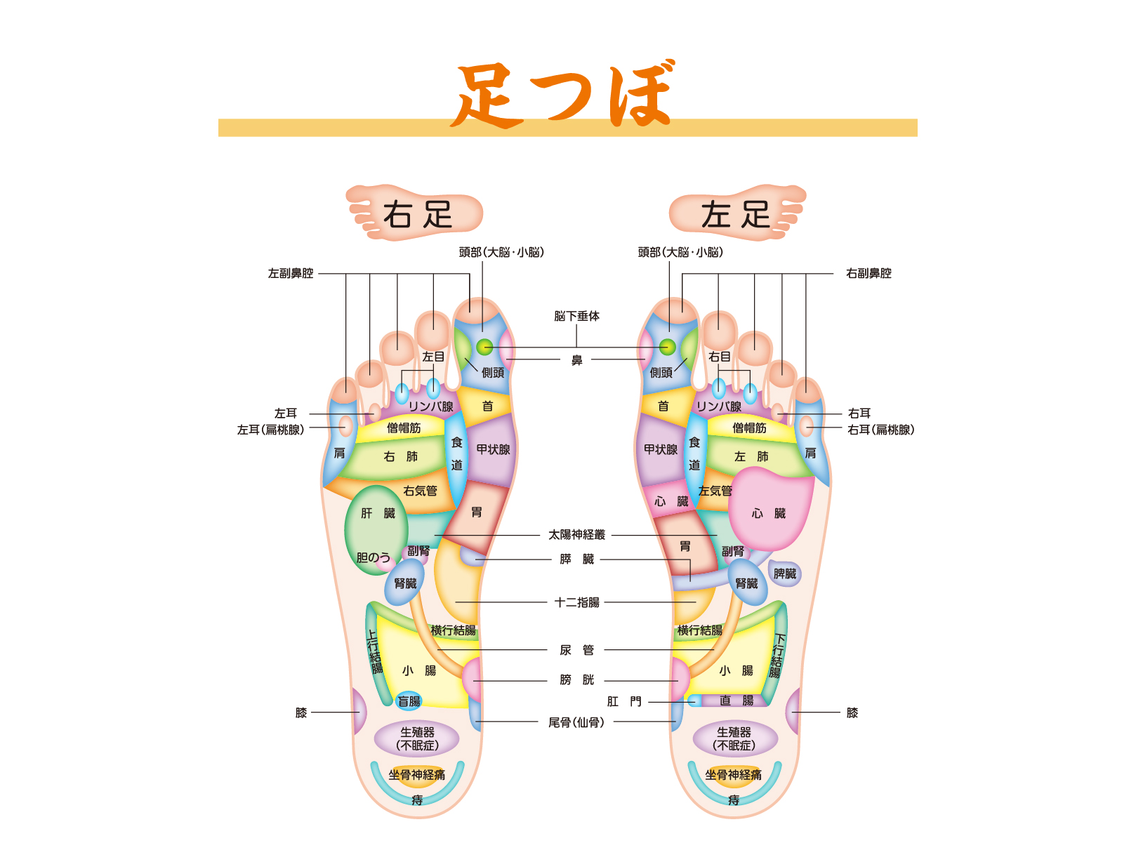 足つぼ名人って痛いの？口コミでチェックしてみた！ | #スキっとlife